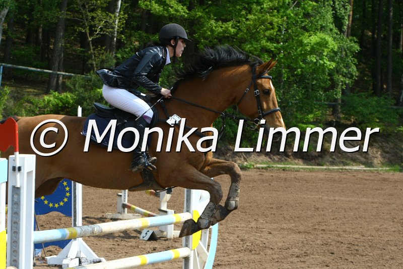 104M3307_Punkte L.JPG